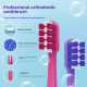 Orthodontic toothbrush with replaceable brushes (3pcs), Purple